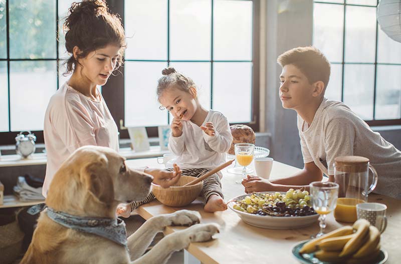 Orthodontics for Today’s Modern Family